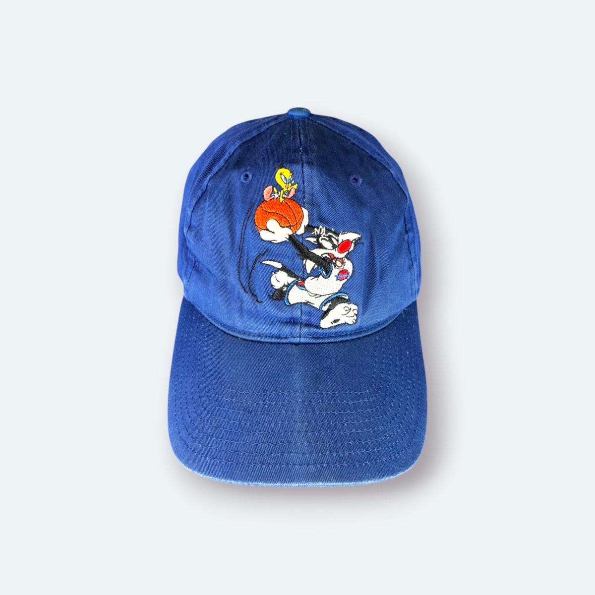 Warner Bros Vintage Cap Tweety Sylvester Blau